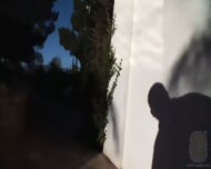 AMWF Brooklyns-Bailey